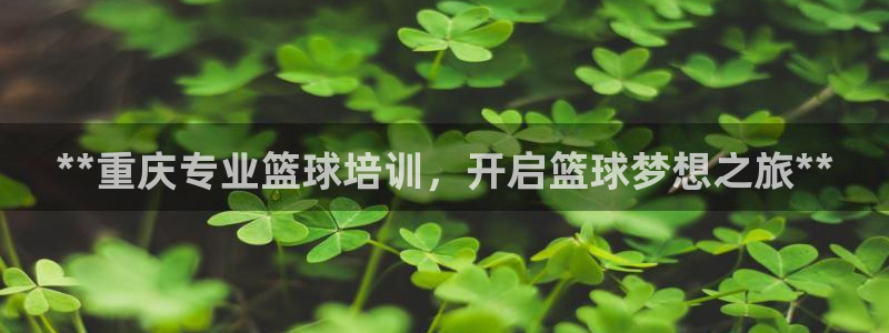 富联娱乐官方网站入口：**重庆专业篮球培训，开启篮球