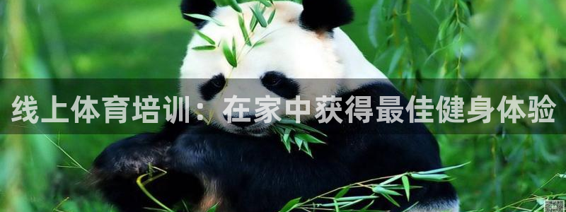 富联平台搜搜 5o69I7：线上体育培训：在家中获得