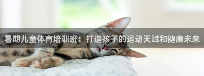 富联平台目 411O31 富联