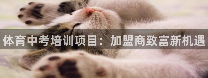 富联官网代理系列