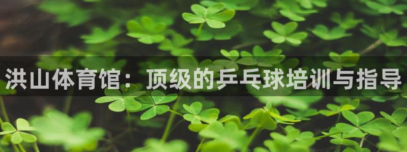 富联平台开户