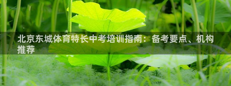 富联娱乐官方网站下载安卓：北京东城体育特长中考培训指