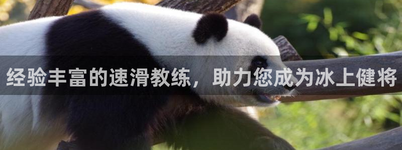 富联股份股票