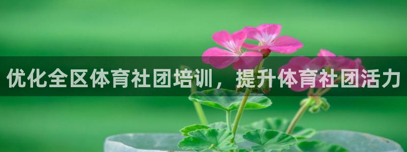 富联平台用户登陆不了：优化全区体育社团培训，提升体育社团活力