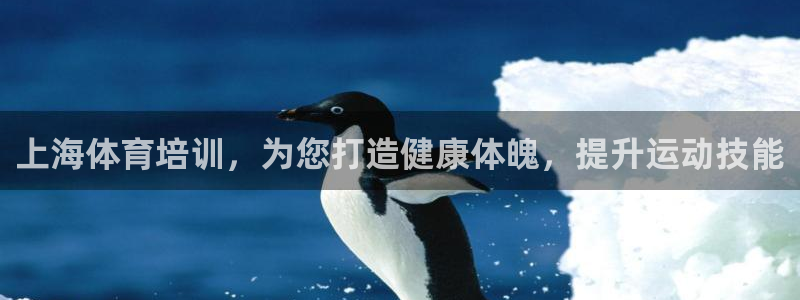 富联娱乐在线注册链接是什么：上海体育培训，为您打造健康体魄，