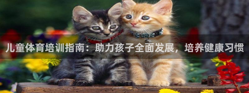 富联平台是什么平台：儿童体育培训指南：助力孩子全面发