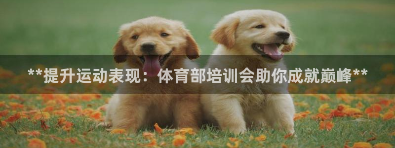 富联平台总代理是谁