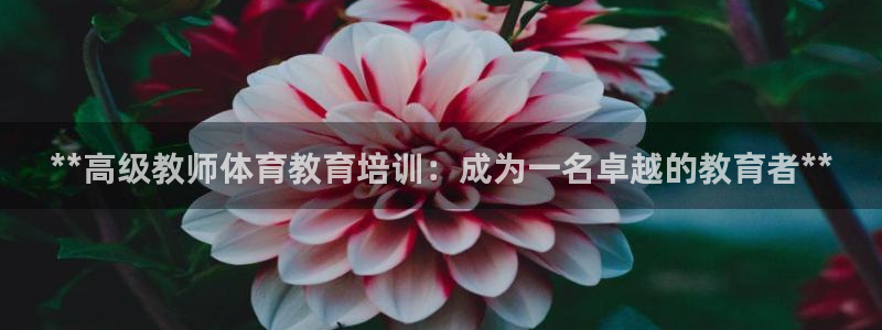 富联平台娱乐：**高级教师体育教育培训：成为一名卓越