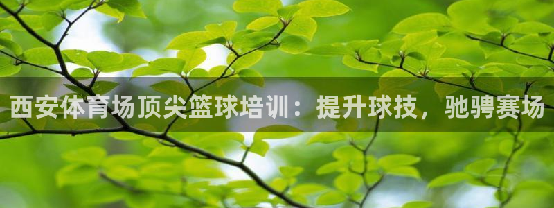 富联平台强 3.7.oo.7.3.5：西安体育场顶尖