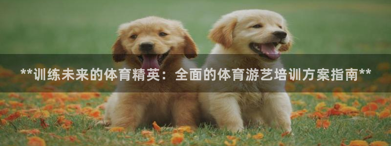 富联平台官网下载：**训练未来的体育精英：全面的体育游艺培训