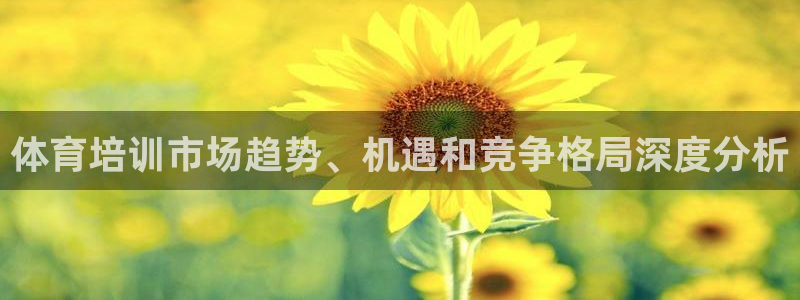 富联平台代理注册要钱吗：体育培训市场趋势、机遇和竞争格局深度