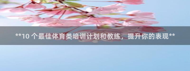 富联娱乐登录注册账号：**10 个最佳体育类培训计划