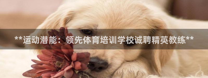 富联平台招商