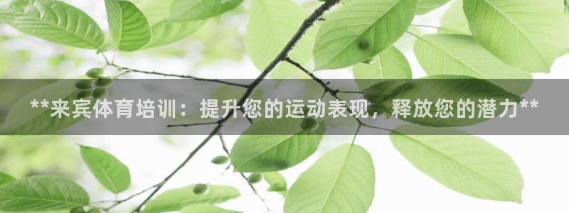 富联平台官网登录入口：**来宾体育培训：提升您的运动表现，释