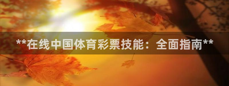 富联娱乐玩法机制是什么：**在线中国体育彩票技能：全面指南*