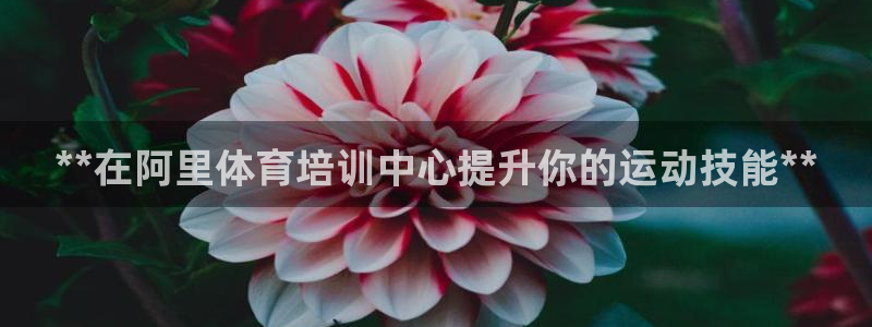 富联娱乐官方网站入口网址：**在阿里体育培训中心提升你的运动