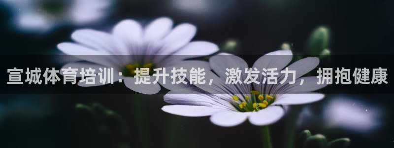 富联娱乐老板：宣城体育培训：提升技能，激发活力，拥抱