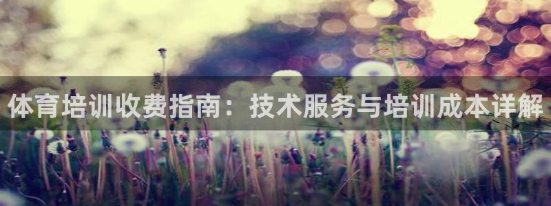 富联官网代理系列产品：体育培训收费指南：技术服务与培