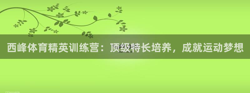 富联申购何时上市：西峰体育精英训练营：顶级特长培养，