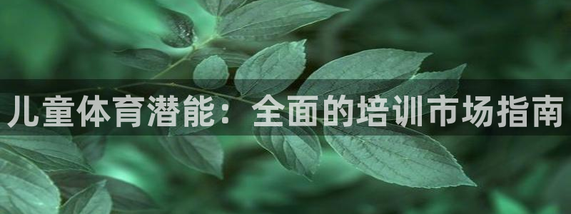 富联平台飞 411o31 富联：儿童体育潜能：全面的