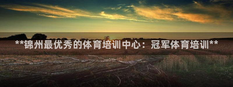 富联平台加认 58.53.4I：**锦州最优秀的体育