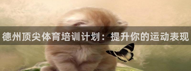 富联平台线路检测中心官网：德州顶尖体育培训计划：提升