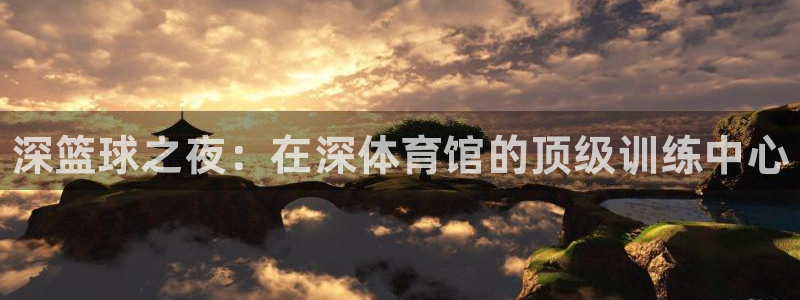 富联平台寇 37oo735：深篮球之夜：在深体育馆的