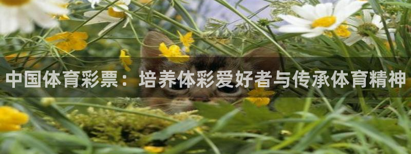 富联官方网站入口网址是多少：中国体育彩票：培养体彩爱