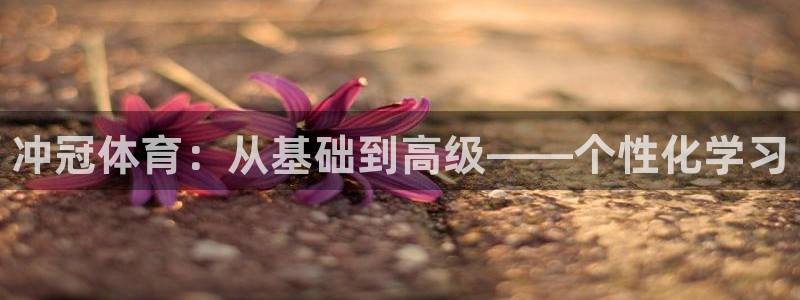 富联娱乐登录注册入口官网网址查询：冲冠体育：从基础到