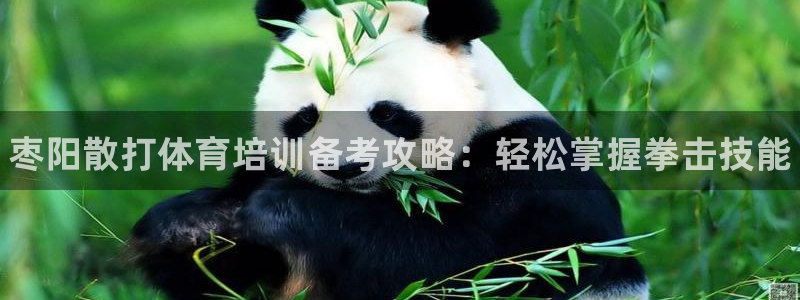 富联娱乐负责人名单：枣阳散打体育培训备考攻略：轻松掌