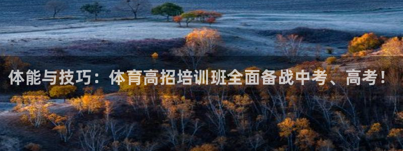 富联娱乐客户端app下载服务器：体能与技巧：体育高招