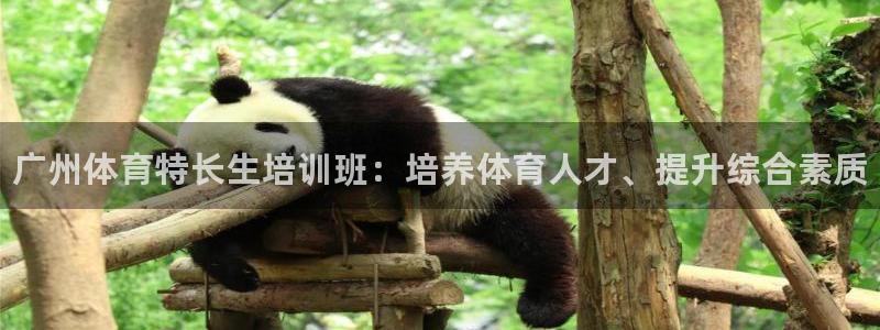 富联娱乐老板叫什么