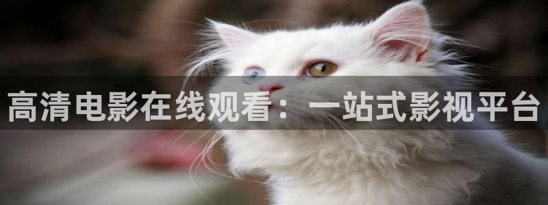 96av影院：高清电影在线观看：一站式影视平台