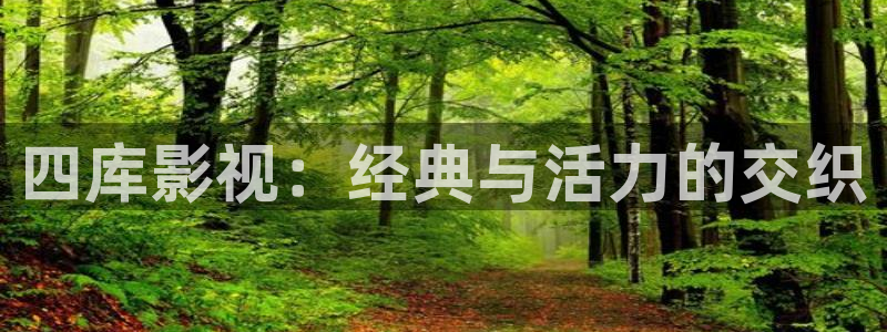 6969影院电视剧在线观看：四库影视：经典与活力的交织