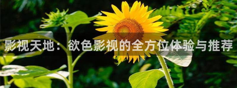 96在线影院：影视天地：欲色影视的全方位体验与推荐