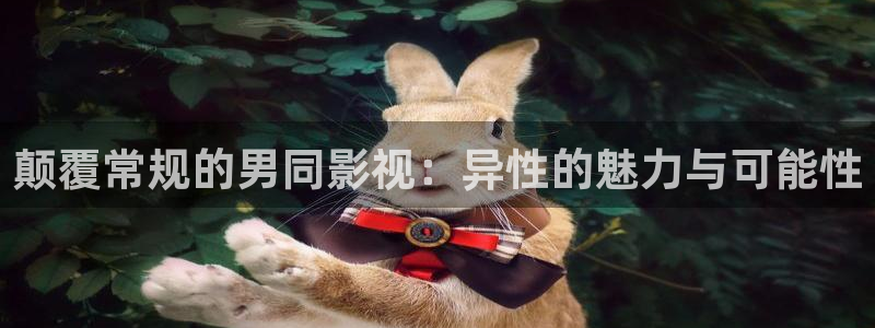 yy/t0969：颠覆常规的男同影视：异性的魅力与可能性