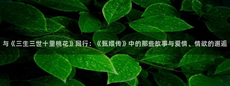 yy/t 0969：与《三生三世十里桃花》同行：《甄嬛传》中的那些故事与爱情、情欲的邂逅