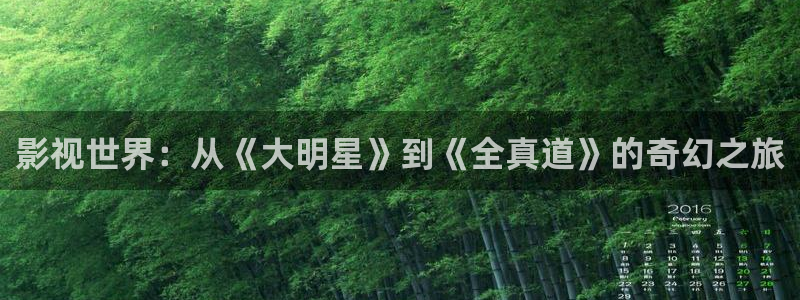 yy/t0969：影视世界：从《大明星》到《全真道》的奇幻之旅