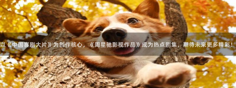 6996影视电影：以《中国喜剧大片》为创作核心，《周星驰影视作品》成为热点剧集，期待未来更多精彩！