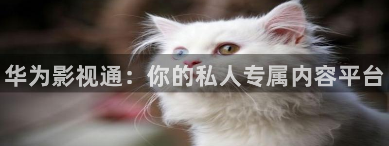 6969成人免费观看私人影院：华为影视通：你的私人专属内容平台