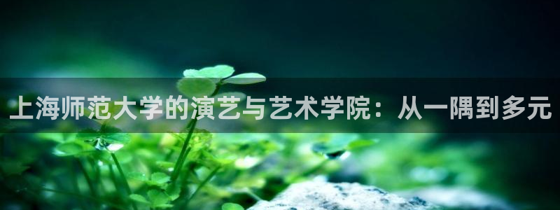 6996影视电影播放观看：上海师范大学的演艺与艺术学院：从一隅到多元