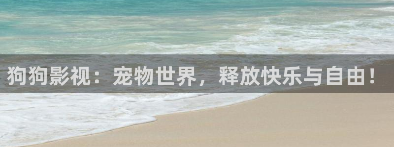6996影视在线观看电视剧：狗狗影视：宠物世界，释放快乐与自由！