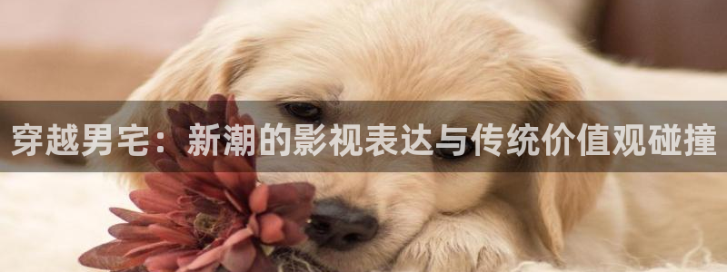 yy/t 0969：穿越男宅：新潮的影视表达与传统价值观碰撞